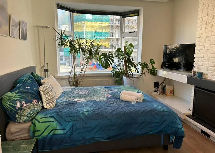 City Center Rooms With Shared Facilities By Umcg Groningen